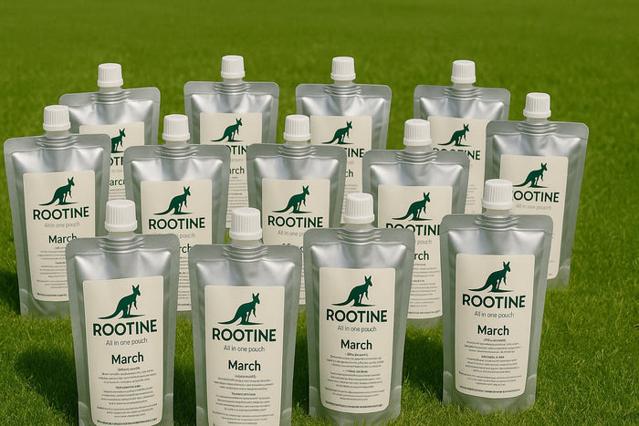 Rootine 12-month